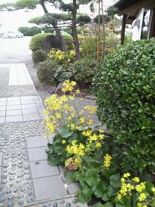 にわいち